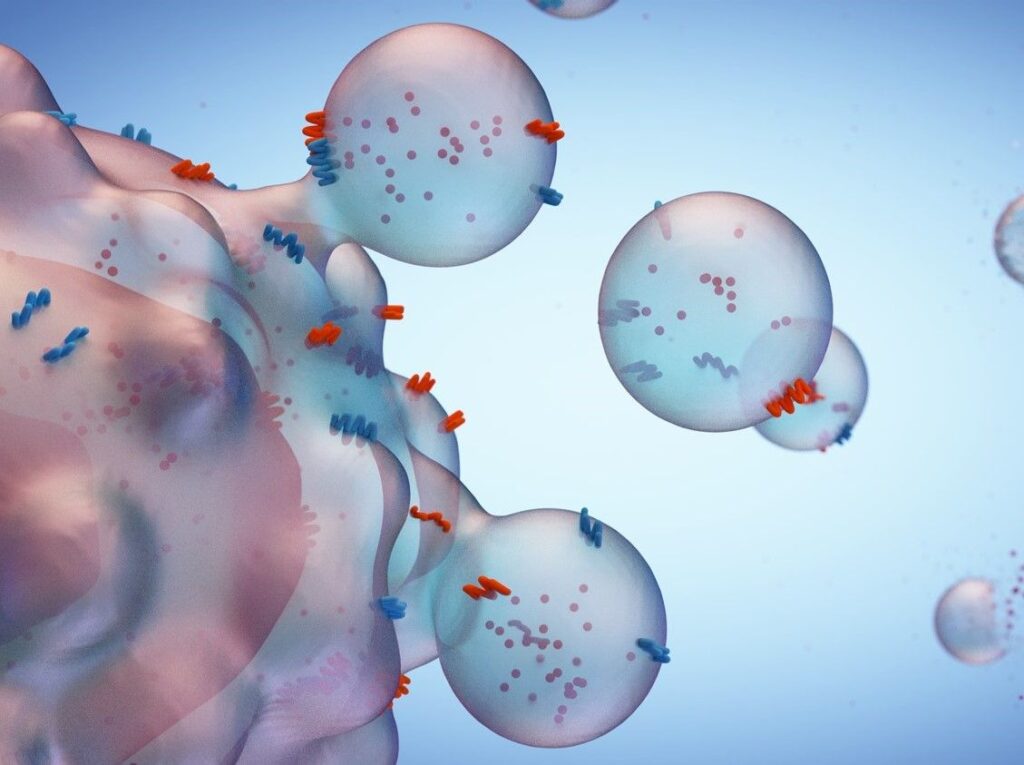 Exosomas en cosmética para el cuidado de la piel